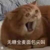 https://images.plurk.com/YPTxqz4mDeQZ68PL2uSJZ.jpg