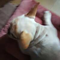 https://images.plurk.com/YWVZANCO8JKQkZ4wWzWNr.jpg