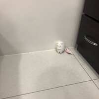https://images.plurk.com/YZR3UIJWVpEvIlTo7qEwg.jpg