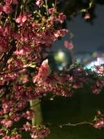 https://images.plurk.com/YcY56i0vyWPBjqhacOMP6.jpg