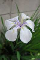https://images.plurk.com/YeRNVBQtv6zHRZO9Usmah.png