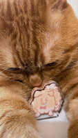 https://images.plurk.com/YhekPwqJCTjSpogVkMKxr.jpg