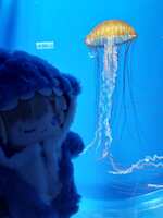 https://images.plurk.com/YjJIpoZsnq923RX0t038T.jpg