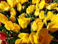 https://images.plurk.com/YntOcWCp1txByeeihdUDn.jpg