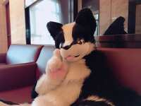 https://images.plurk.com/YtAe61a3GBjZpdfOtnXKk.jpg