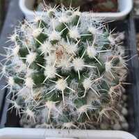 https://images.plurk.com/YvzQEqJW6IbdbYtqhjR6.jpg