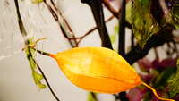 https://images.plurk.com/YyZpik12wOEtbA0wx0EHd.jpg