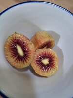 https://images.plurk.com/Z2MW9F4bIBHKWyOGOB9iw.jpg