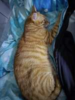 https://images.plurk.com/Z3SYpDmIT07evcxNbk5Lr.jpg