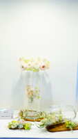 https://images.plurk.com/Z5xsPnjsGzCUDFGdZE2SJ.jpg
