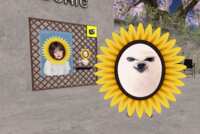 https://images.plurk.com/Z76YXK98DOFuqmr3bPZnV.png