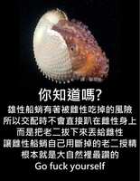 https://images.plurk.com/ZKo0PHfmg7Umoqp9xOIyq.jpg