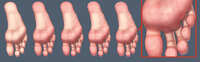 https://images.plurk.com/ZLz2dJUkZYOGYhNrH7Z1z.jpg