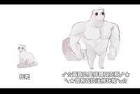 https://images.plurk.com/ZSZb6PpH5wTNEQKQwE5rr.png