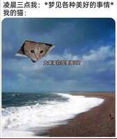 https://images.plurk.com/ZiSnl3lsvwuHZHyREydv.jpg