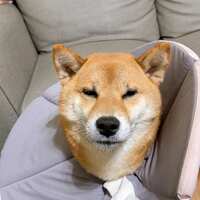 https://images.plurk.com/Zm9PlBwPupRdKntxzLZ59.jpg