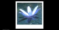 https://images.plurk.com/ZonQ01b2y5NXBRsWRBHhU.png