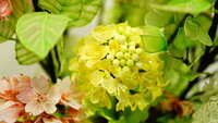 https://images.plurk.com/ZvK1ZFrDX95BqMOAoUOMP.jpg
