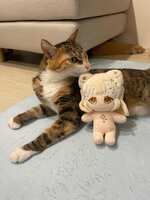 https://images.plurk.com/ZvdDs5eshihkjXCfkIt5H.jpg