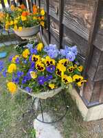 https://images.plurk.com/ZxcUt31gnlOIK6SQZtcYw.jpg