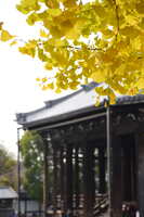 https://images.plurk.com/ZyFQyhuR14dZU1QhQW5C0.jpg