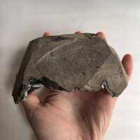 https://images.plurk.com/Zyor10W3RTow73nTYgycG.jpg