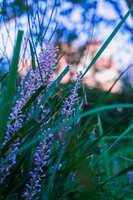 https://images.plurk.com/a1Hz68yVwXqeitBm4wyUk.jpg