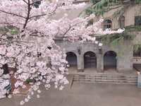 https://images.plurk.com/a65OYupcEvFcu7L5mqSit.jpg