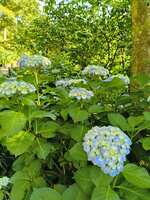 https://images.plurk.com/aFq9UXHBv2MHBxq9BVH2D.jpg