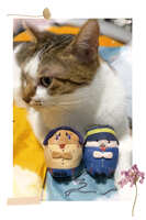 https://images.plurk.com/aIH8cFOA7czluWCcShM1E.jpg