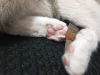 https://images.plurk.com/aIcOe0As9NjhHX4kHQzWx.jpg