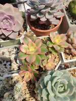 https://images.plurk.com/aIs7pGN8GRv3hsXd9kKpc.jpg