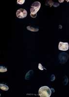 https://images.plurk.com/aKdv12lyIjp8CHn9bC0lP.png