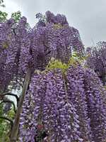https://images.plurk.com/aLFzX4Io10N9r718yVv7x.jpg
