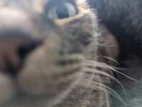 https://images.plurk.com/aMz7jQ5vlSldGNhRRxL4O.jpg