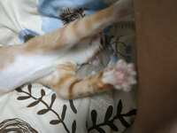 https://images.plurk.com/afeN4lf5ZNGImpZ5mDaxm.jpg