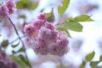 https://images.plurk.com/alSHWGTMzWxsfUw5Z4b6q.jpg