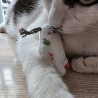 https://images.plurk.com/an744SnALgDJ00ewnDqDF.jpg