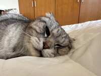 https://images.plurk.com/anGTnpm2UPvNWL85Hosxz.jpg