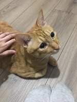 https://images.plurk.com/aqM3S92kuLmQMjUVjOnQJ.jpg