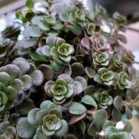 https://images.plurk.com/at2MA2XLyHLeBiRrm60nz.jpg
