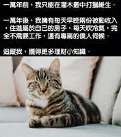 https://images.plurk.com/axayhIjpuuYKlkMsdBEGh.jpg