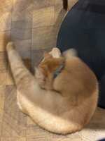 https://images.plurk.com/b0JqxGb0LXX36hGhCeBt9.jpg