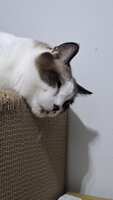 https://images.plurk.com/b0gU1xCDjPaGNIRPCkNWe.jpg