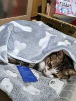 https://images.plurk.com/b0piITW2iyjO5d6JW9ISH.jpg