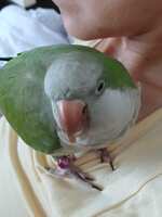 https://images.plurk.com/b1PrVzQxuB6Hw1SOiKn82.jpg