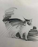 https://images.plurk.com/b1tYIlrlyvvwWgPI9tadU.png