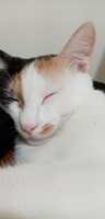 https://images.plurk.com/b2A2ZXpCvNMMZug7nd55W.jpg