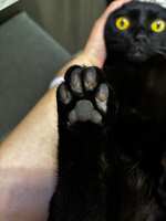 https://images.plurk.com/b520jllta72DDiMB4GTmC.jpg