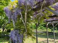https://images.plurk.com/b6nicoshUBUyfXb9ViNU4.jpg